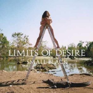 Small Black_Limits of Desire