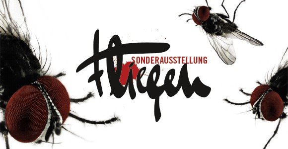 Mehr als ekelige Insekten: "Fliegen". Eine Ausstellung im Naturkundemuseum Berlin